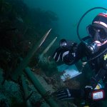 8024319685_97ed38d3be_b